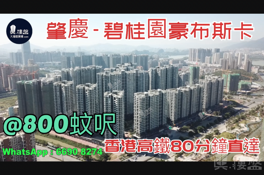 碧桂園豪布斯卡-肇慶|首期3萬(減)|香港高鐵80分鐘直達|香港銀行按揭 (實景航拍)